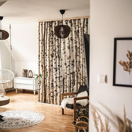 Apartamenty Shanta 코스실리스코 외부 사진